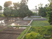 BBG&B6AroundTheGuesthousePics - 6