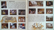 IMG-0012