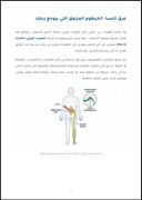 صفحة من الدليل