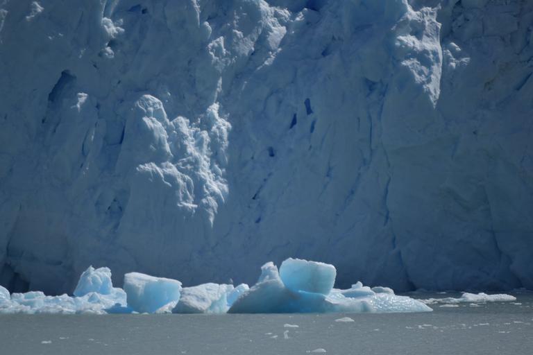 В джазе только девушки или аргентинско-бразильский калейдоскоп В джазе только девушки или аргентинско-бразильский калейдоскоп