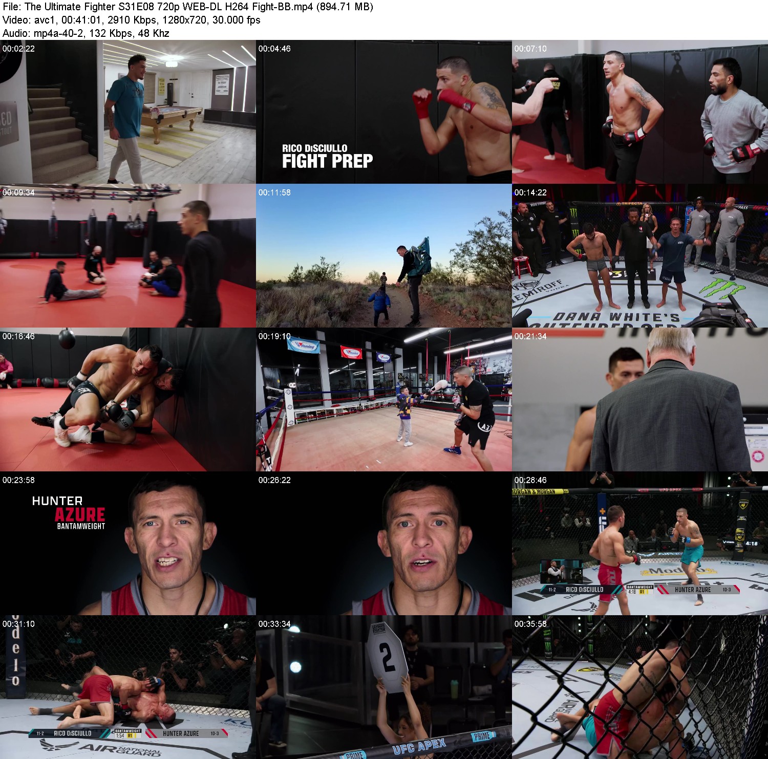 [Image: bxeuml8d56k6.jpg]