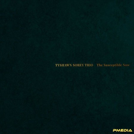 VA - The Susceptible Now (2024)