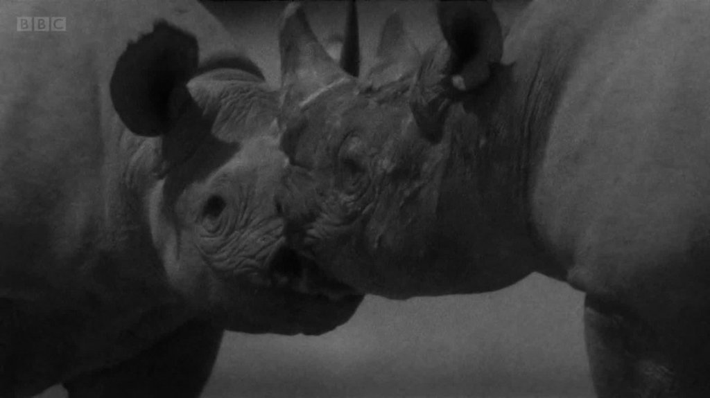 [Image: 7geqa2ivs2n6.jpg]