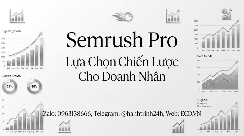 semrush pro xem traffic đối thủ