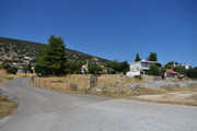Arachnaio-(12)