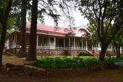 DSC-0050