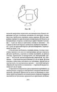 Shyem-shtory-i-podushki-Darya-Kostina-251