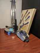 AGC-20241114-141105565-nature