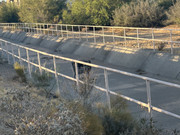 IMG-7515