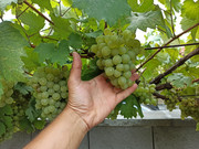 IMG-20220814-141655