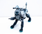 MP-48-Dark-Amber-Leo-Prime-04