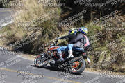 IMG-1383