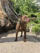 IMG_20230706_153048_996