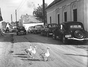 271519864-1595065974219298-3896125740135806103-n.jpg