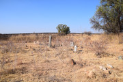 DSC-0377