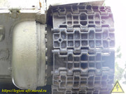 DSCN6025