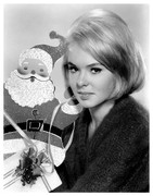 joey-heatherton-b66