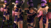 Ayane-Ninja-Gaiden-Razors-Edge-Costume.j