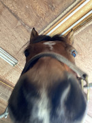 03276760-122F-440A-810B-550C6AE8B81D