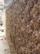 BBG&B12AStrollToSujataTemple - 5