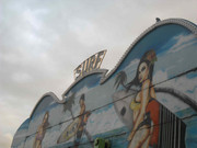 32.8.the amusement park VIII