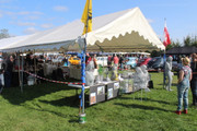 IMG-9245.jpg