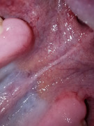 IMG-20210517-WA0005