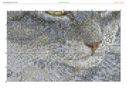 1442498-crosti-ru-color-20