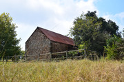 DSC-0227