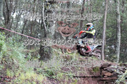 IMG-6572