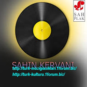 Sahin-Kervani-1986