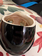 PXL-20260418-182719582