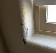 60F54AFE-1838-4EC1-A79F-79F5DA204B05