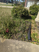 PXL-20230305-163658465