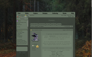 pineforest (forums)