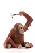 depositphotos-730500522-stock-photo-red-monkey-toy-hammer-isolated