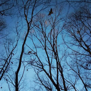 6s4V9Au2D7NKT0GPRpw_c7MNCNaszrunmfbQEb3GvL_-Sk9uMltH_uCM-oaYnCdBa55T_by5