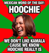 [Image: IMG-5023.jpg]