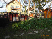 [Obrázky: DSC02223-1.jpg]
