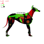 0006 - Hyacinth - #193898