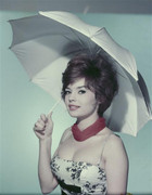 pascale-petit-c66