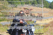 IMG-2596