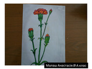 зображення_viber_2020-05-07_16-09-31