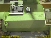 IMG-3381