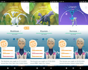 Polish 20260308 133455116