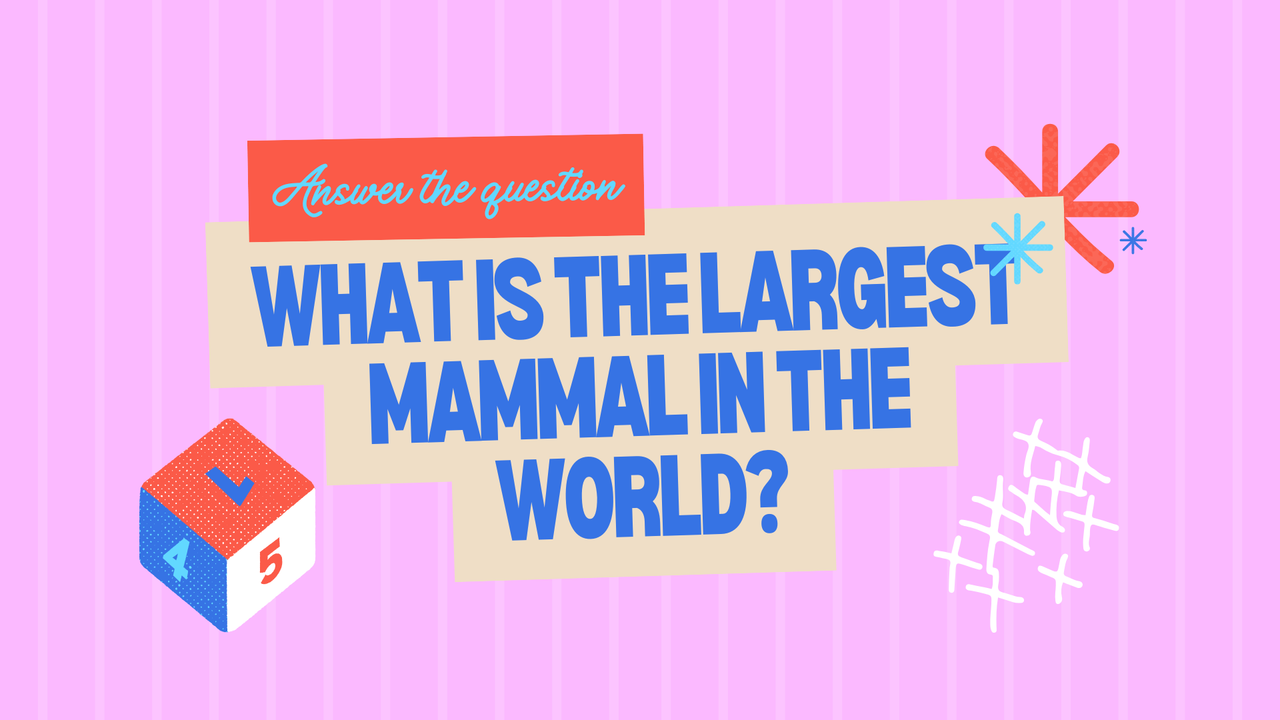 Blue Illustrated Trivia Quiz Presentation