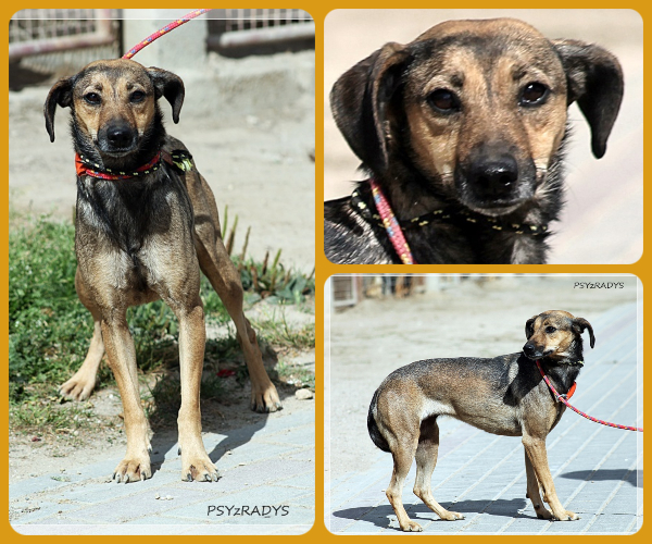 BeFunky-collage (23)