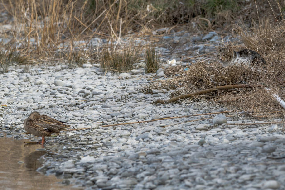 IMG_20240314_094904_745