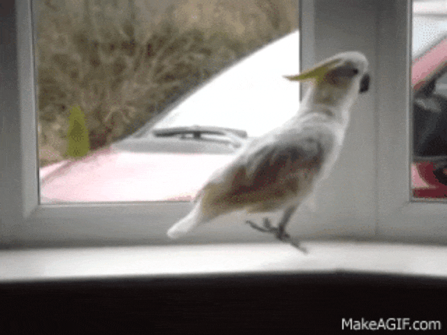 GIF-20250807-122410-021.gif