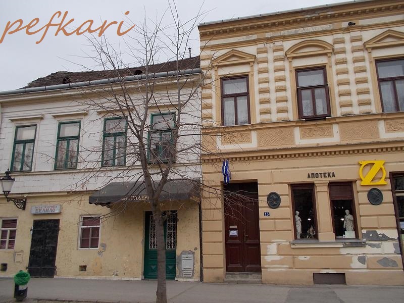 Slika